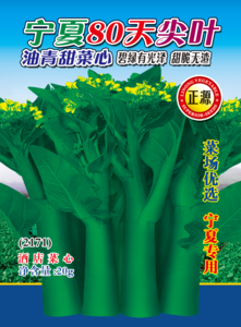 寧夏80天尖葉油青甜菜心