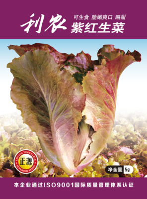 利農(nóng)紫紅生菜 