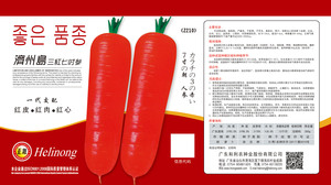 济州岛特级三红七寸参（210)300g/罐