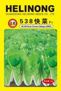 538快菜