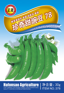 珍奇甜豌豆78（378）