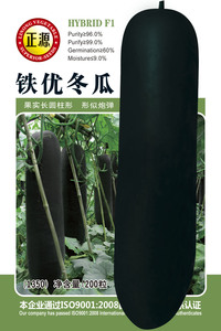铁优冬瓜